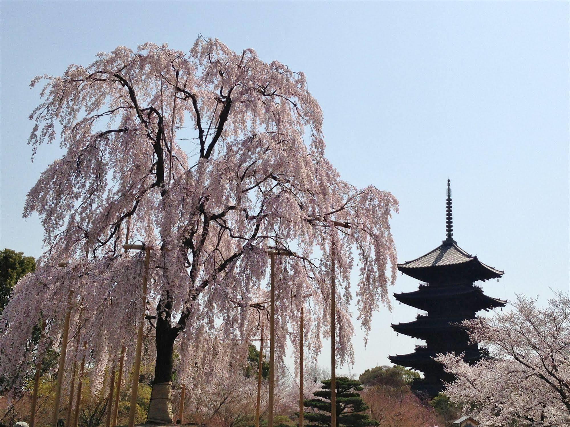 Hotel Livemax Kyoto Gojo Exteriér fotografie